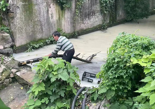 已编辑图片