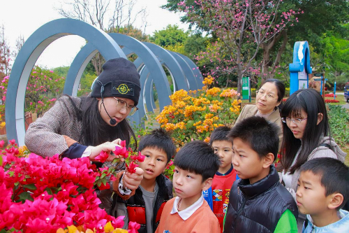 2025年3月2日银山湿地:植物探秘之旅 (1).jpg