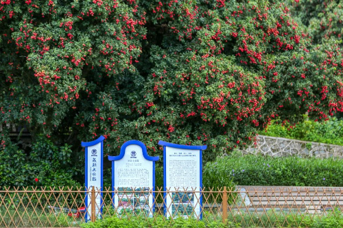640.jpg