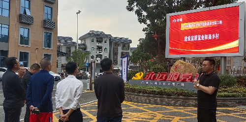 已编辑图片