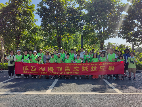 已编辑图片