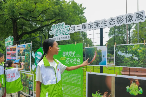 十大正规网赌平台